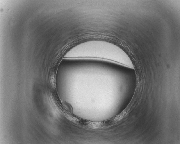 X0000087400143200704201002