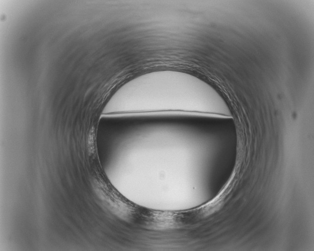 X0000087400144200704201002