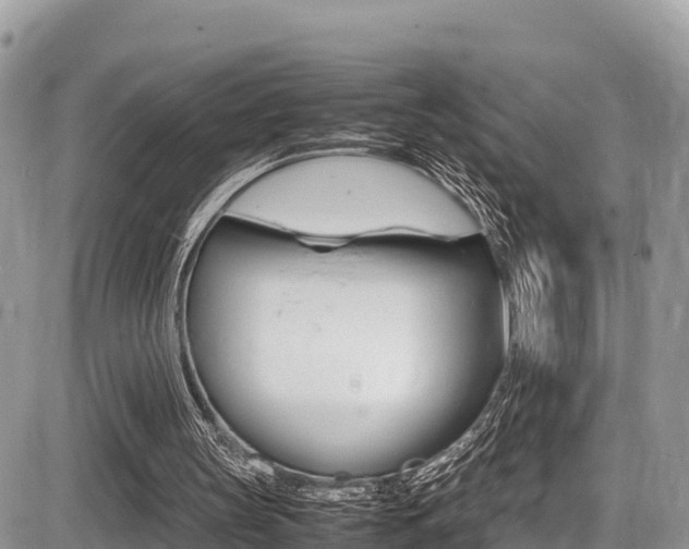 X0000087400147200704201001