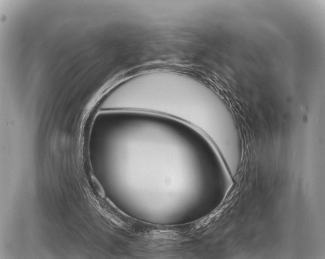 X0000087400150200704201001
