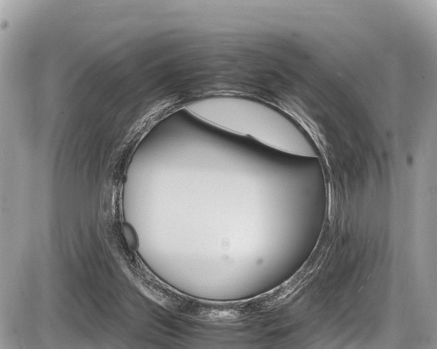 X0000087400157200704201001