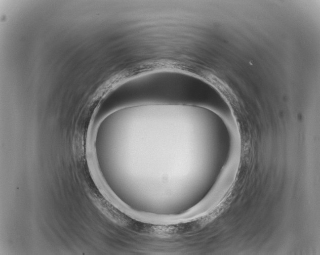 X0000087400158200704201001