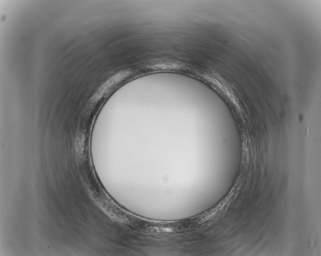X0000087400159200704201001