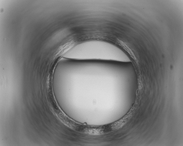 X0000087400163200704201001