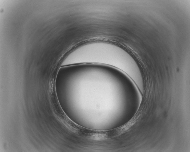 X0000087400168200704201002