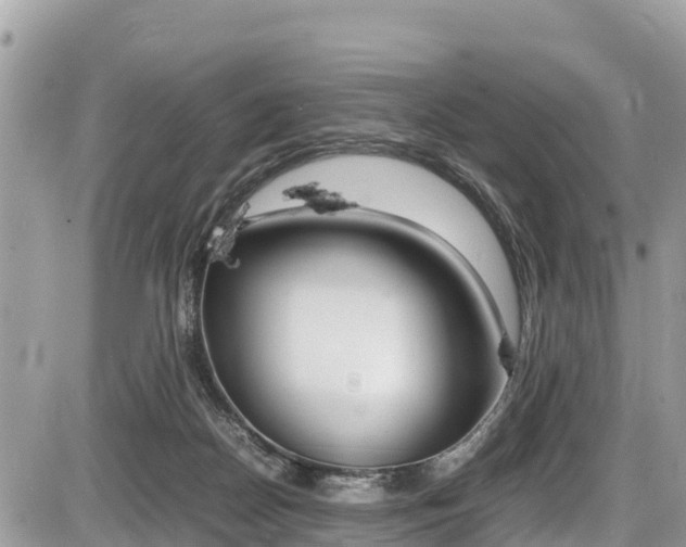 X0000087400170200704201002