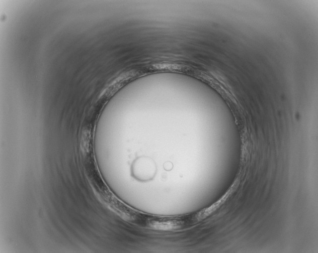 X0000087400171200704201002