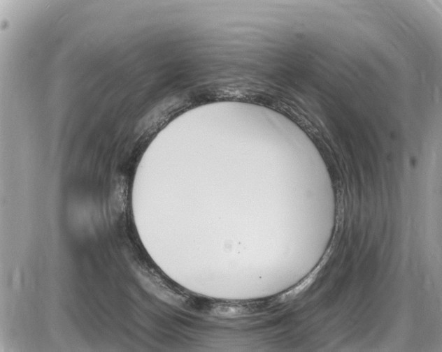 X0000087400174200704201002