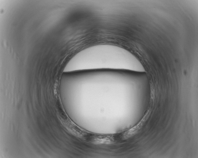 X0000087400175200704201002