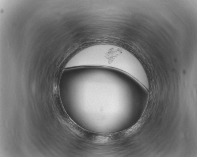 X0000087400176200704201002