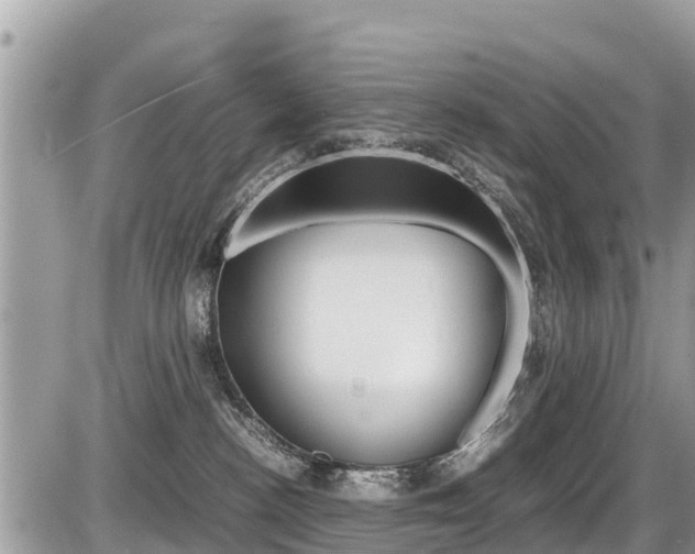 X0000087400188200704201002