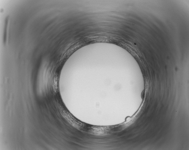 X0000087400190200704201002