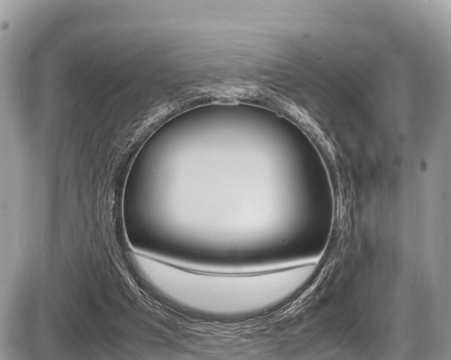 X0000087400201200704201001