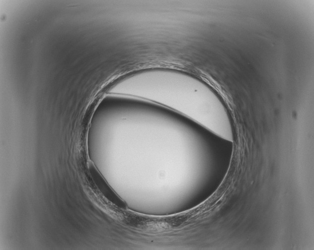 X0000087400203200704201001
