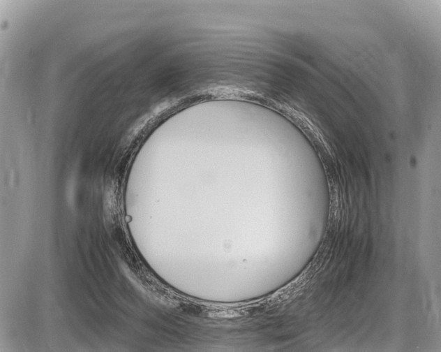 X0000087400208200704201001