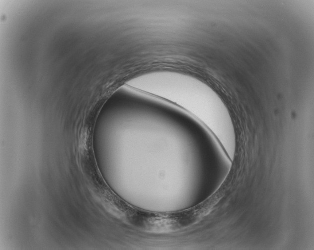 X0000087400219200704201001