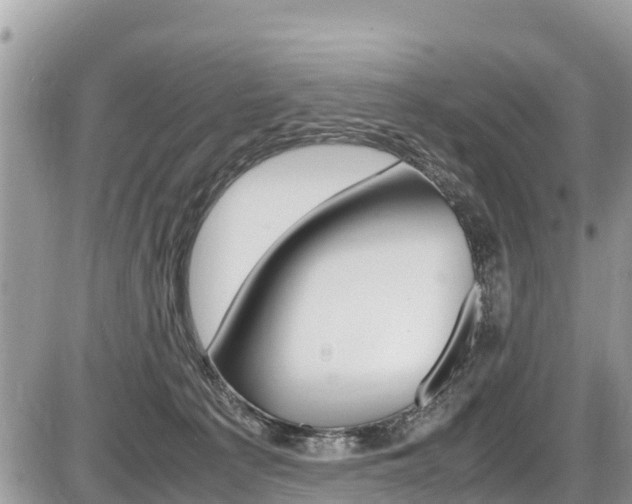 X0000087400225200704201001
