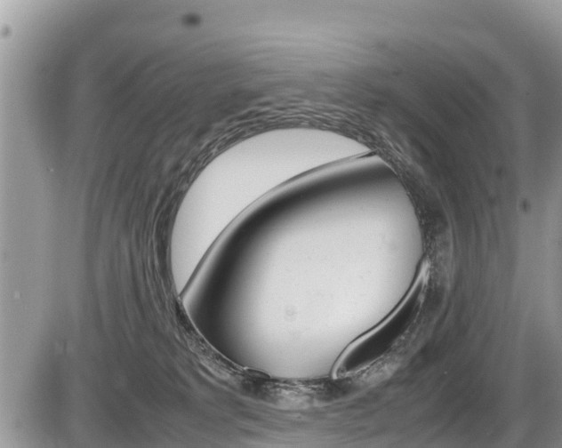 X0000087400229200704201001