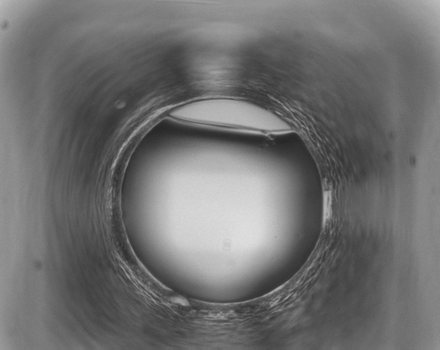 X0000087400243200704201000