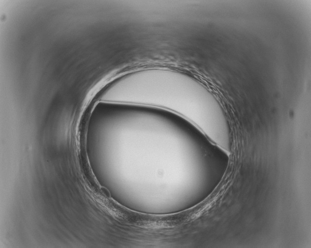 X0000087400246200704201000