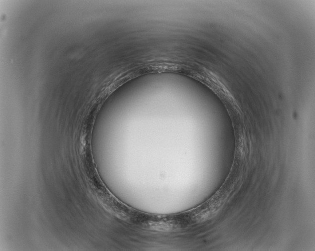 X0000087400259200704201000