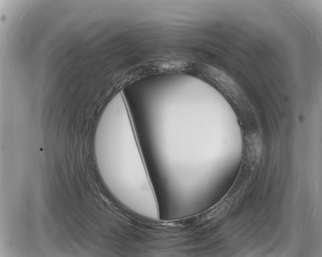 X0000087400269200704201000