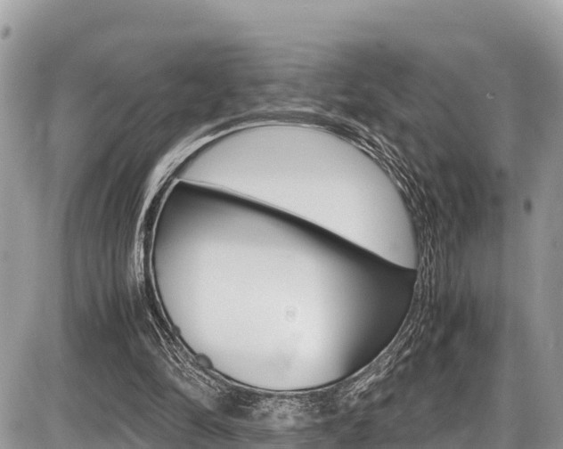 X0000087400294200704200959