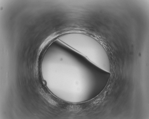 X0000087400296200704200959