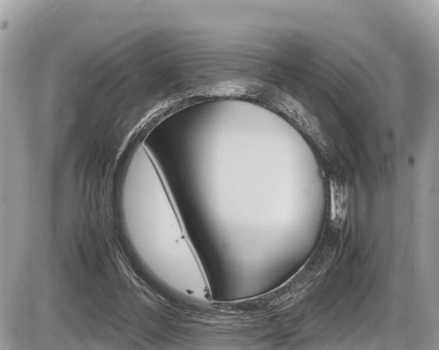 X0000087400300200704200959