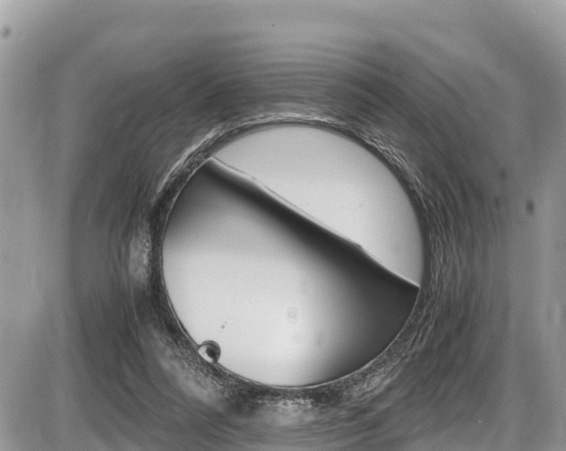 X0000087400304200704200959