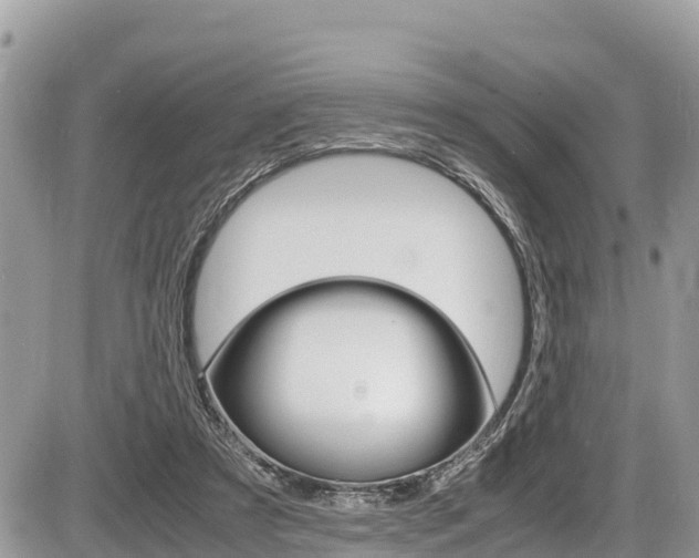 X0000087400305200704200959