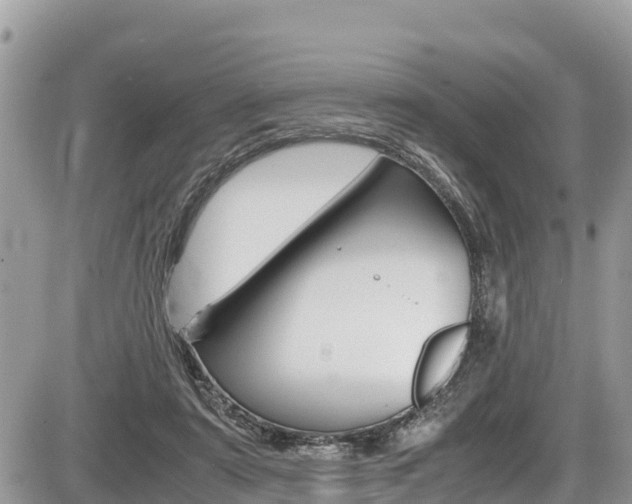 X0000087400307200704200959