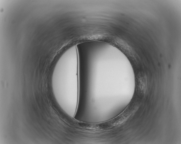 X0000087400308200704200959