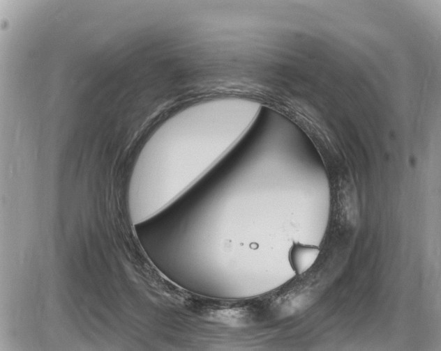 X0000087400312200704200959