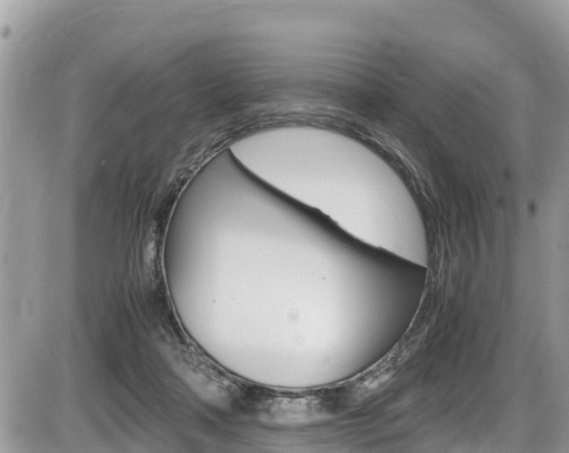 X0000087400314200704200959