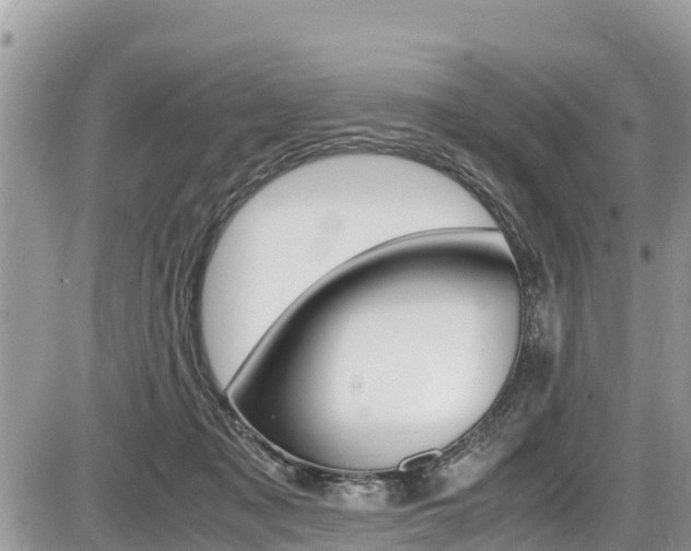 X0000087400317200704200959