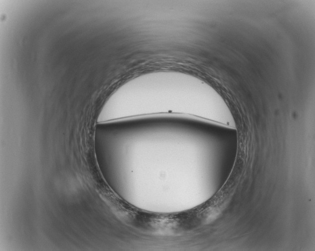 X0000087400319200704200959