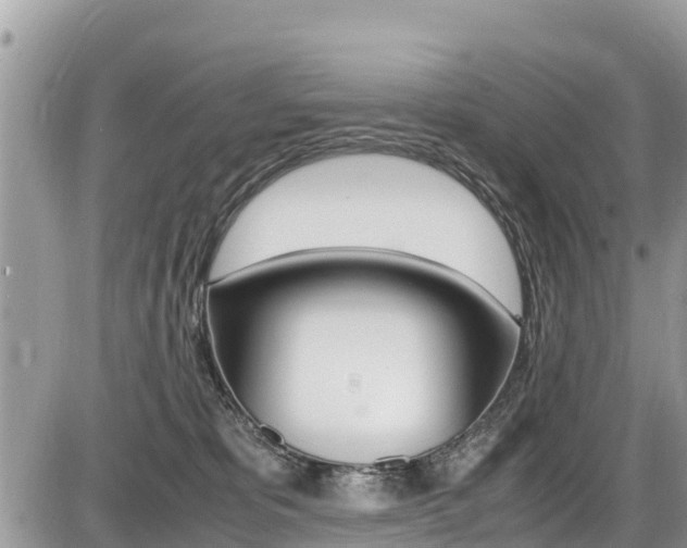 X0000087400325200704200959