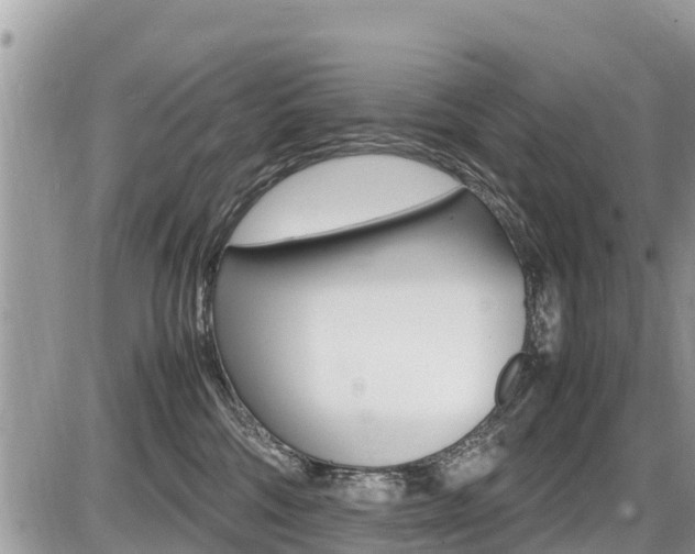 X0000087400330200704200959