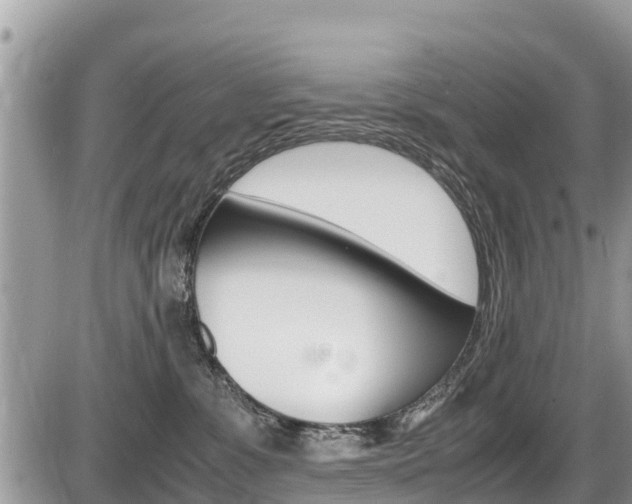 X0000087400331200704200959