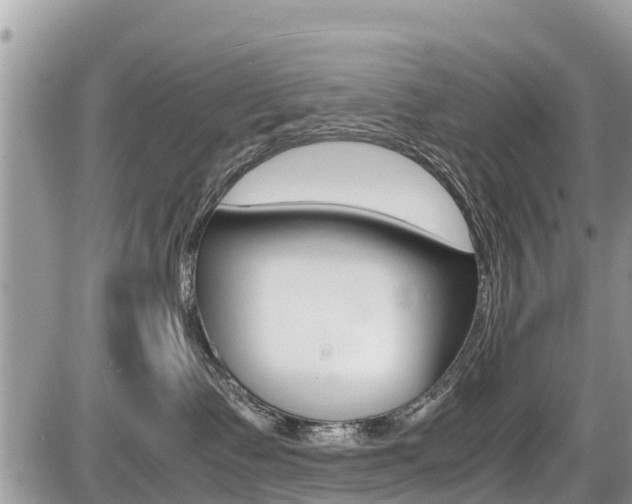 X0000087400335200704200959