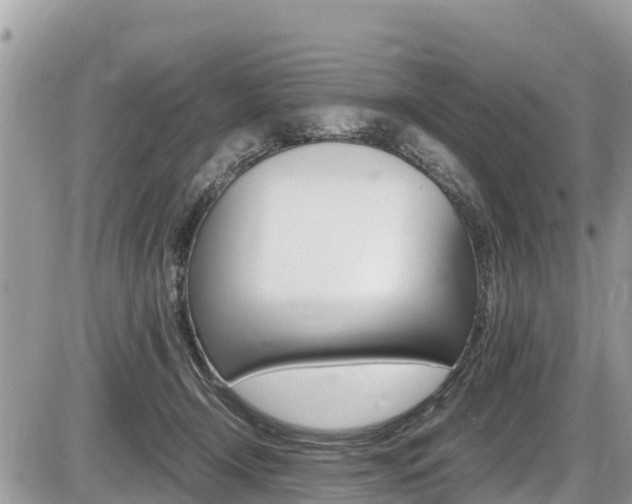 X0000087400366200704200958