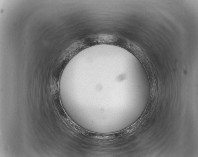 X0000087400367200704200959