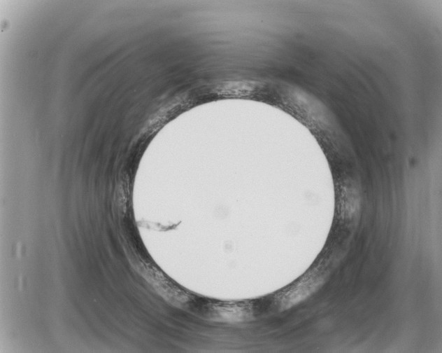 X0000087400370200704200959