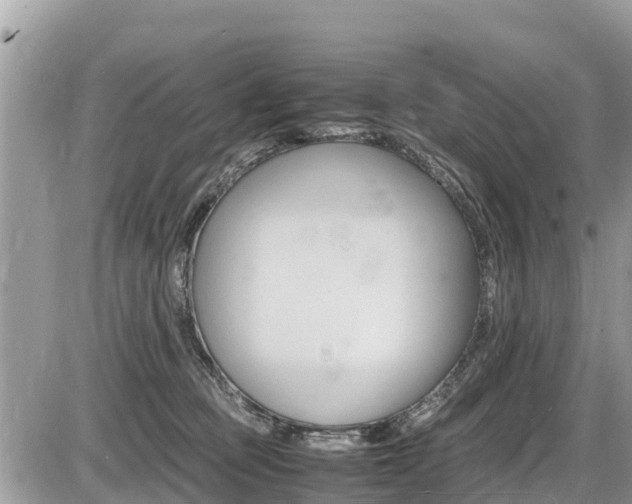 X0000087400373200704200959