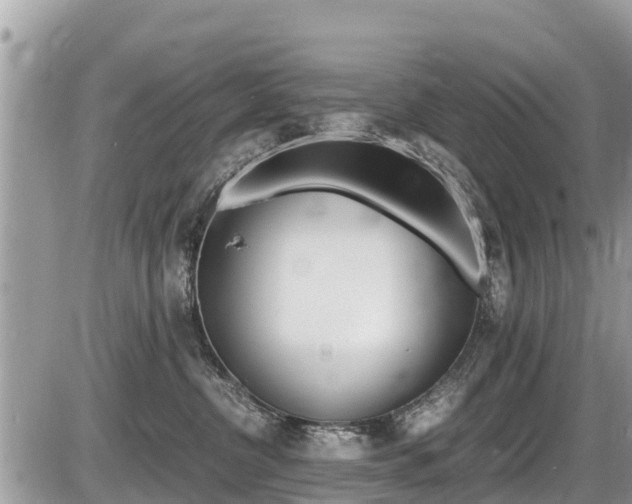 X0000087400380200704200959