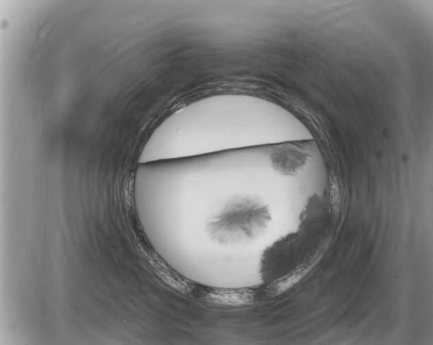 X0000087400381200704200959