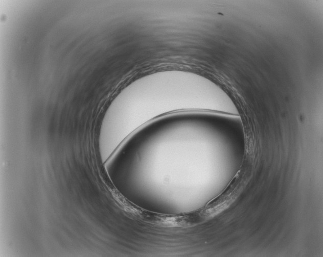 X0000087400382200704200959