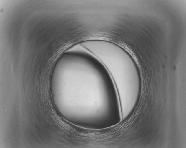 X0000087400385200704200958
