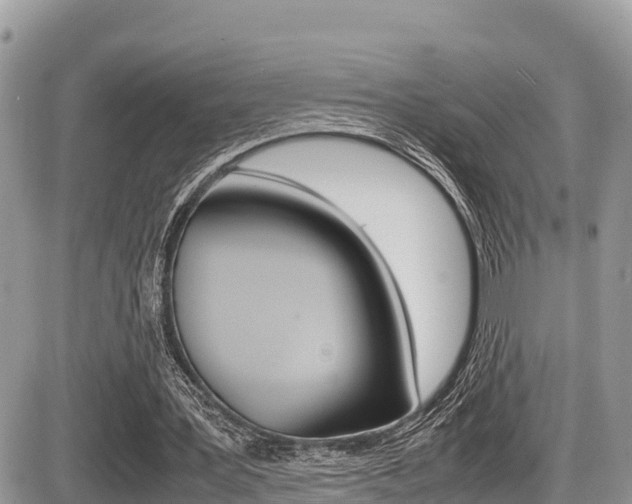X0000087400387200704200958